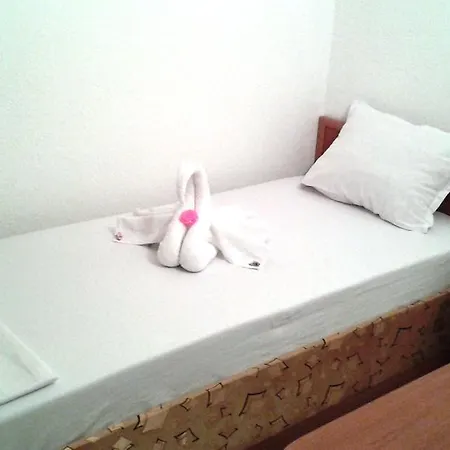 Pensionat Guest Kostovi *