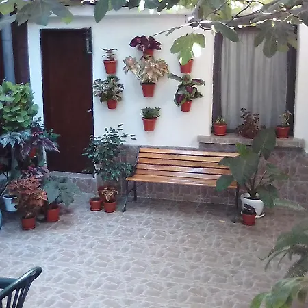 Guest Kostovi
